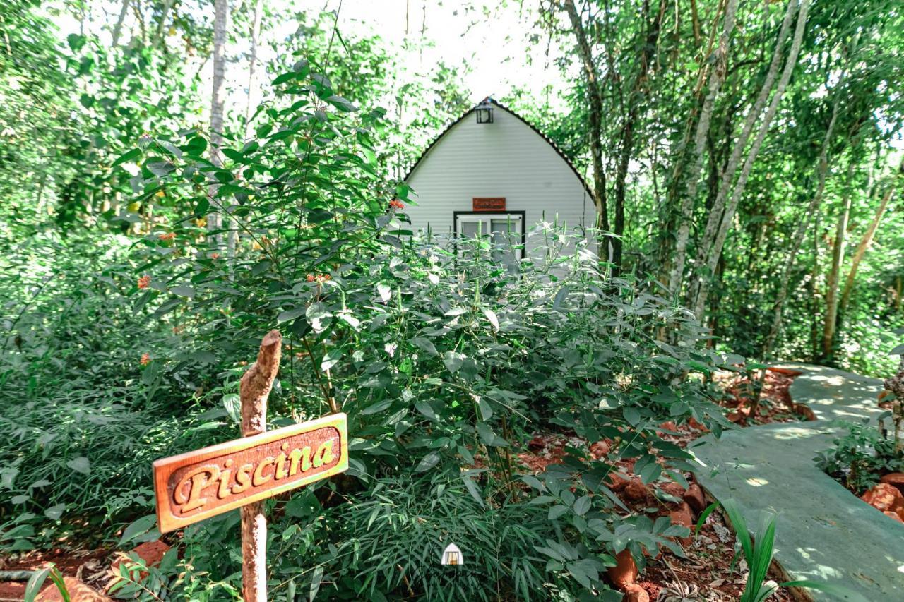 Glamping Selva Iguazu Puerto Iguazu